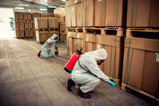 Best Cockroach Control Services  in Cedar Ridge, CA