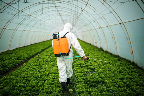 Professional Pest Control in Cedar Ridge, CA