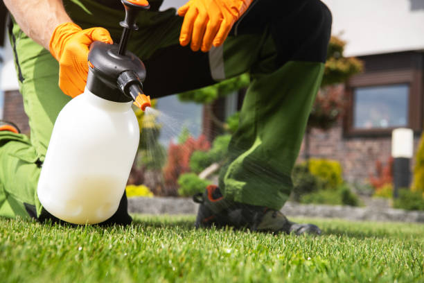 Best Exterminator Services  in Cedar Ridge, CA