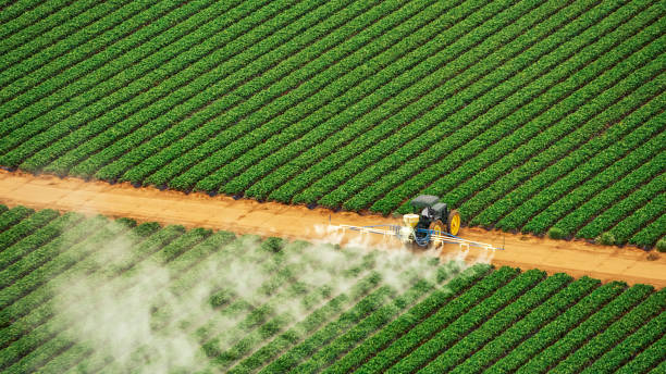 Pest Control Cost in Cedar Ridge, CA